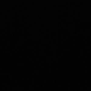 Meet your Posher, Adrianne